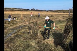 Natuurwerkdag Kennemerstrand