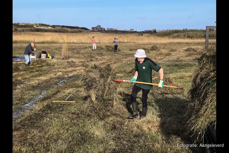 Natuurwerkdag Kennemerstrand