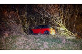 Automobilist raakt van de weg na uitwijkactie voor hert