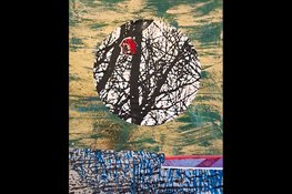 Expositie Aleksandra Jadczuk opent 9 april in Bibliotheek IJmuiden