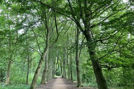 Wandeling in het Oer-IJ gebied op zondag 17 mei