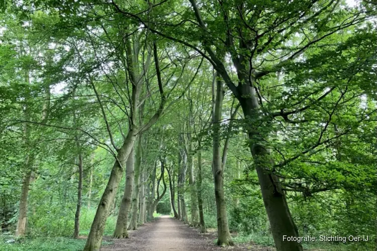Wandeling in het Oer-IJ gebied op zondag 17 mei