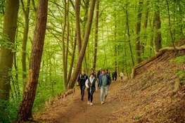 Ruim 8.000 wandelaars genieten van 5e editie KiKa Haarlem City Walk