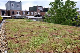 Velsenaren leggen gezamenlijk 760 m2 nieuwe groene daken aan!