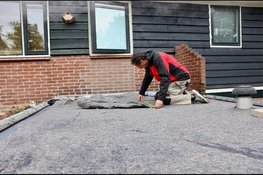 Velsenaren leggen gezamenlijk 760 m2 nieuwe groene daken aan!