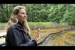 Historisch stukje IJmuiden herleeft in het Waterloopbos