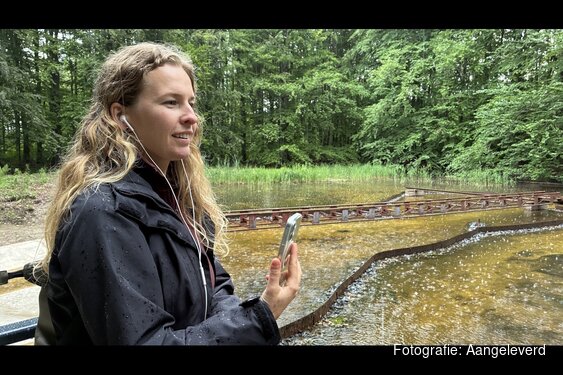 Historisch stukje IJmuiden herleeft in het Waterloopbos