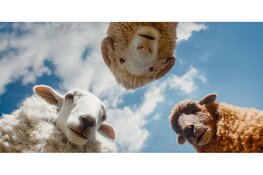 Filmprogramma Haventheater IJmuiden week 24