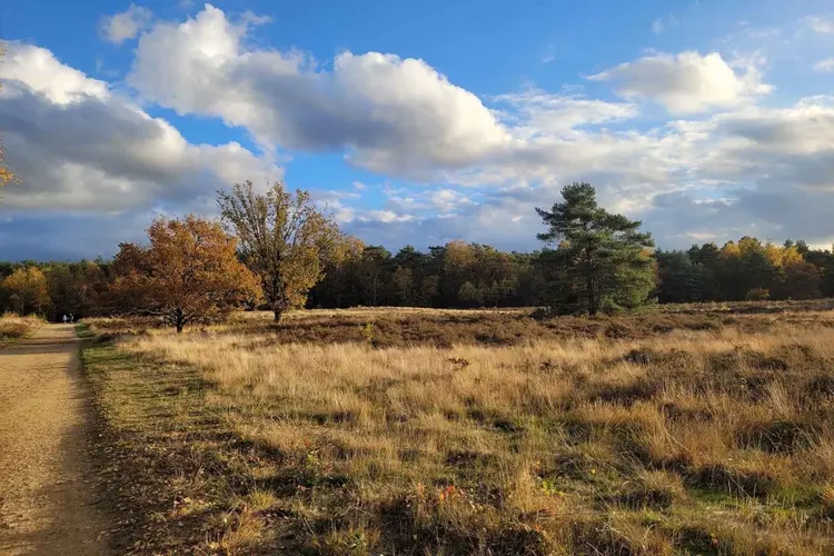 Waarom Veluwepark Voorthuizen de beste keuze is voor je volgende vakantie