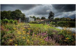 Smartphone Fotografie & AI-workshops – leer iets nieuws!