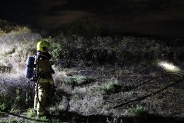 Brandweer blust duinbrand in IJmuiden