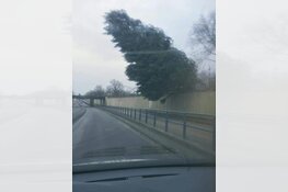 Storm treft IJmuiden