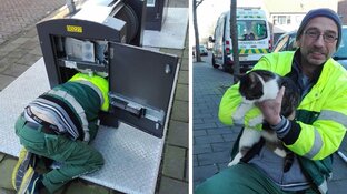 Medewerker dierenambulance redt kat uit ondergrondse container