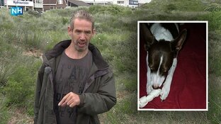 Hond Maya na 12 dagen herenigd met baasje: "Ik heb haar terug!"