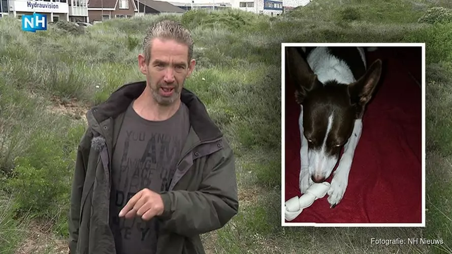 Hond Maya na 12 dagen herenigd met baasje: "Ik heb haar terug!"