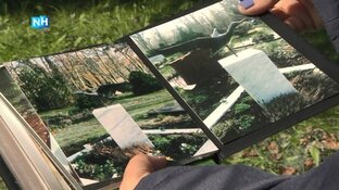 Begraafplaats met handen in het haar na diefstallen grafmonumenten