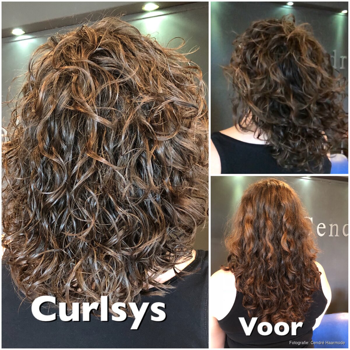 De Krullenkapper van NoordHolland IJmuidensdagblad.nl