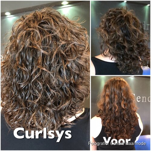 De Krullenkapper van Noord-Holland