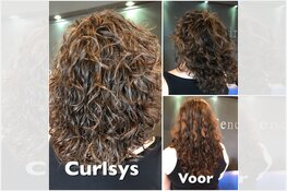 De krullenspecialist van Noord-Holland