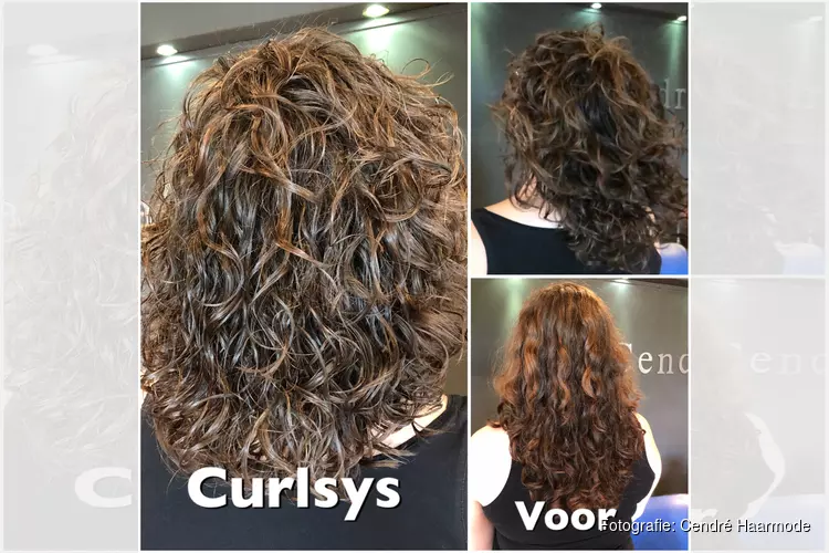 De krullenspecialist van Noord-Holland