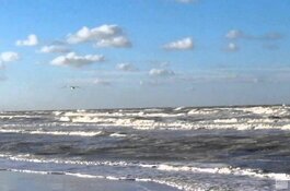 Ingrijpende veranderingen op de Noordzee door de groei van windparken vragen om meer onderzoek