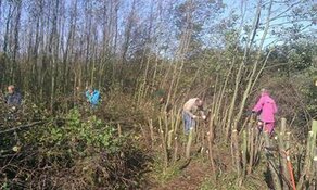 Natuurmonumenten zoekt vrijwilligers voor bos en duin