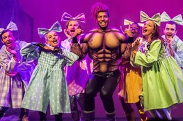 Marvellous - Een humoristische superheldenmusical voor jong publiek