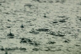 Regenachtige 4 en 5 mei voor de boeg: "Ronduit koud"