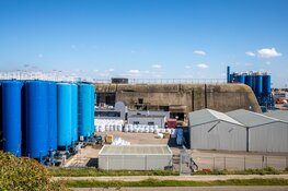 Tijdens Bunkerdag gaat Atlantikwall-erfgoed in Nederland voor één dag open