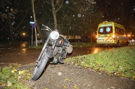Motorrijder botst op hert in Driehuis