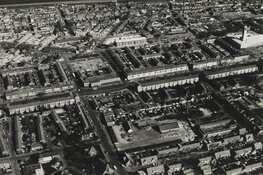 De Schoonheid van de Lange Nieuw