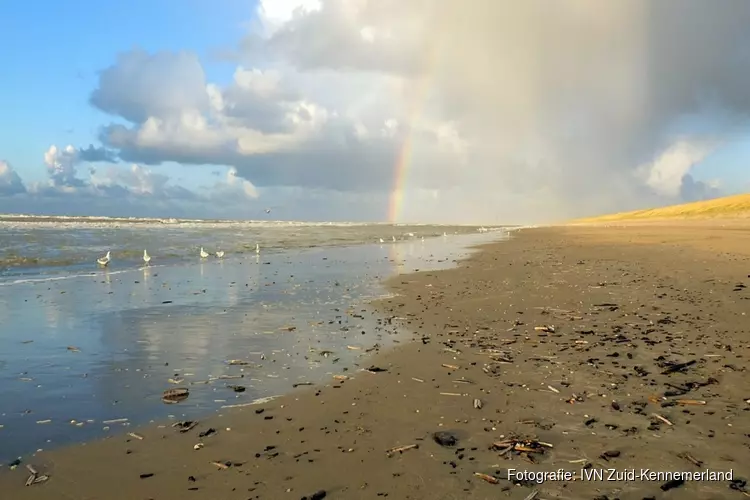 Zaterdag 9 november strandexcursie Zuidpier IJmuiden