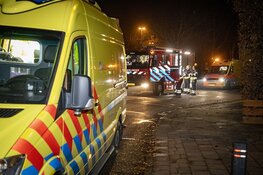 Gewonde en aanhouding bij botsing tegen boom in Velserbroek