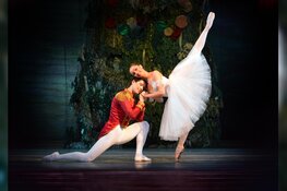 Agenda december - Stadsschouwburg Velsen