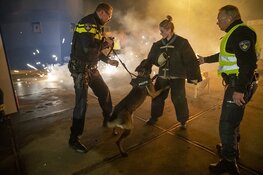 Politiehonden oefenen met vuurwerk