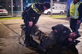 Politiehonden oefenen met vuurwerk
